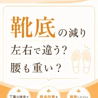 画像283