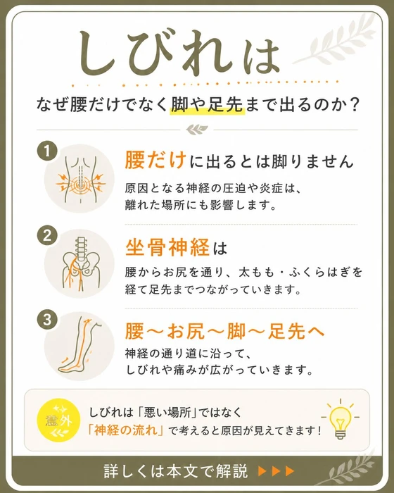画像303