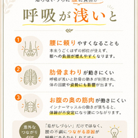 画像337
