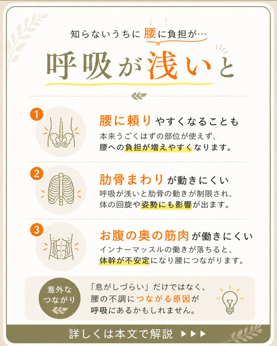 画像337